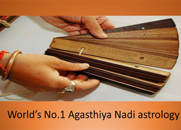 Online Nadi Astrology in India